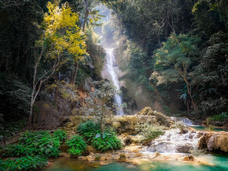 falls in the forest