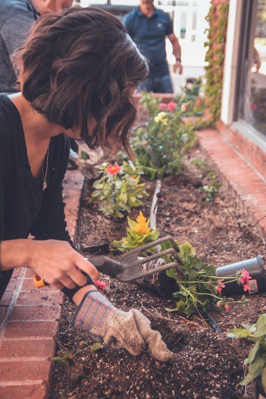 Planting a Garden