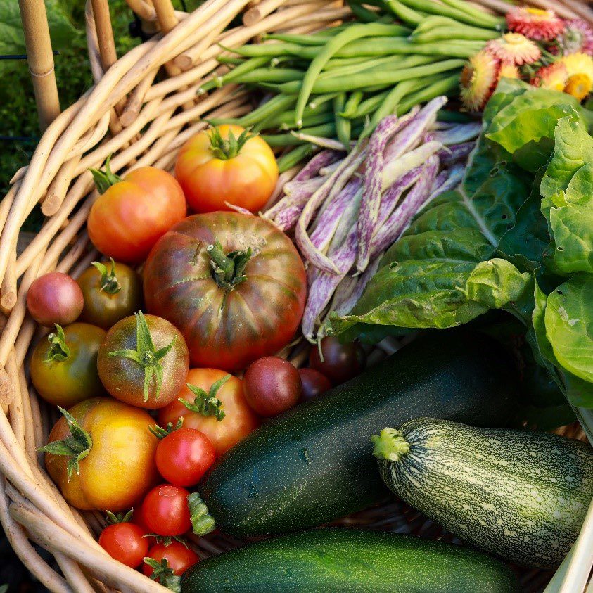 Veggie Basket